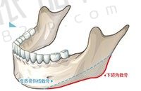 V-LINEu74dcu5b50u8138u624bu672f