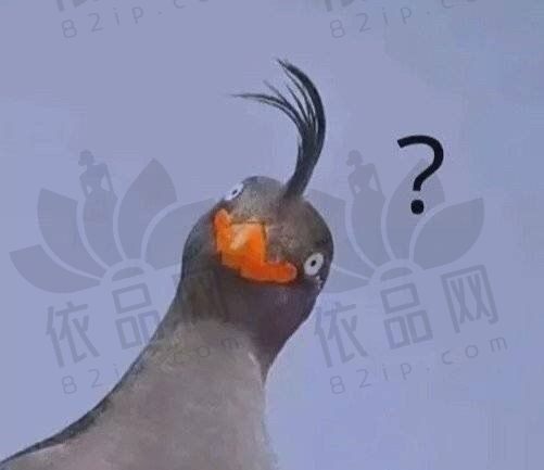 wsrgtferf