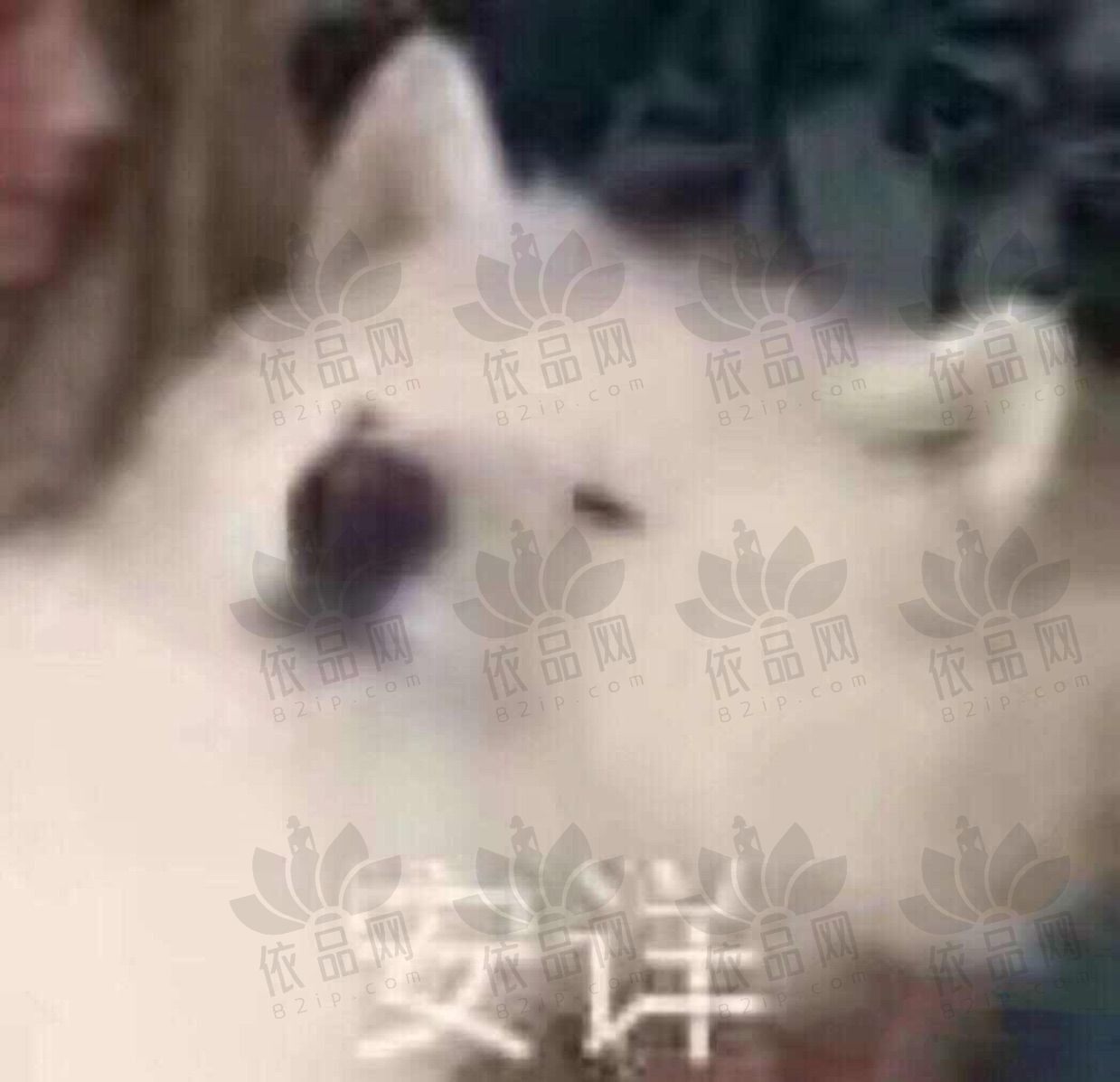 ewsrg