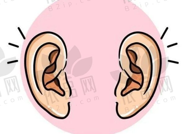 义耳安装大概多少钱？义耳和外耳再造哪个好？