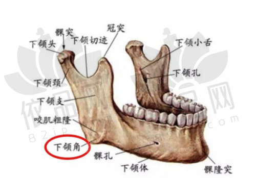 芜湖伊莱美整形外科医院预约方式