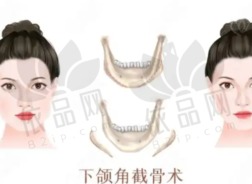芜湖伊莱美整形外科医院交通路线