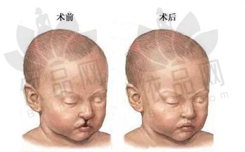 马群医生预约方式