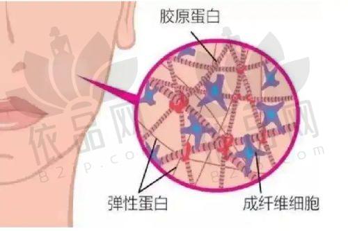 王慧文医生预约方式