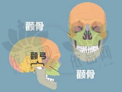 吕学璋——资质信息