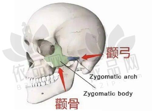 晋中德尔美客医疗美容诊所营业时间