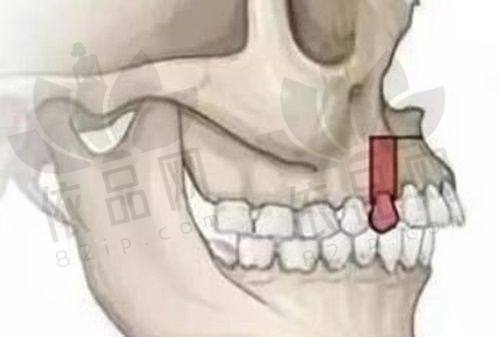 晋中百年中诺口腔诊所医生团队