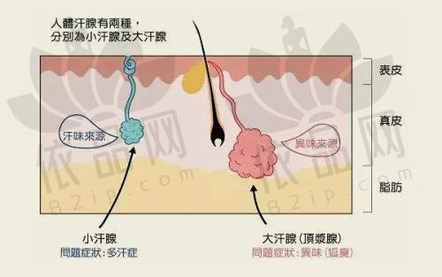马群医生资质信息