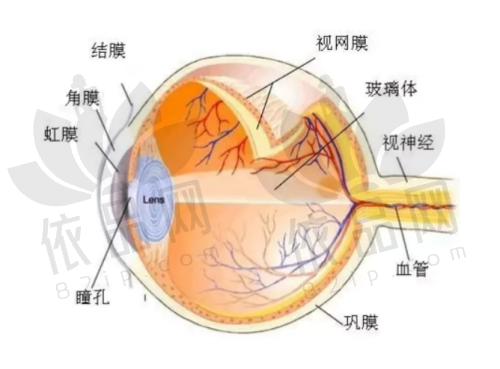 临汾洛基眼科医院预约方式