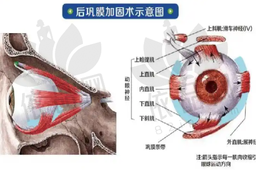 北京冰新丽格的医生团队