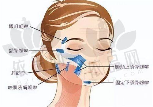 坐诊信息：高端定制服务
