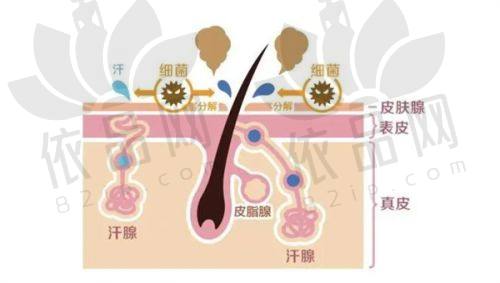 三、武汉天佑双眼皮修复图展示
