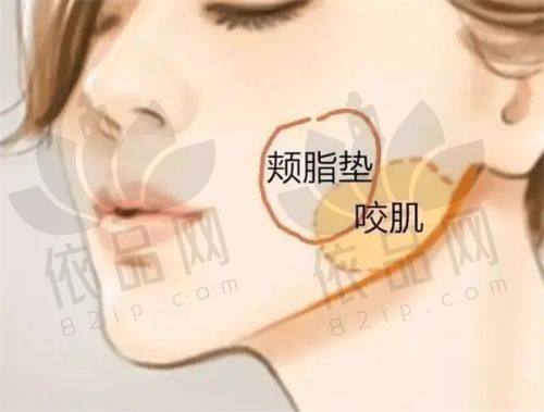 厦门祛斑收费价格明细参考