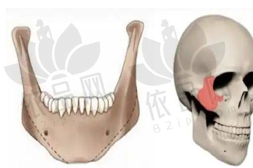 北京禾美嘉吸脂的价格情况