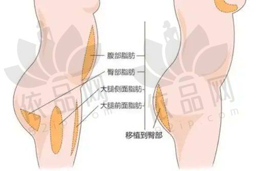 赤峰红山莱佳婳医疗美容门诊部医生团队