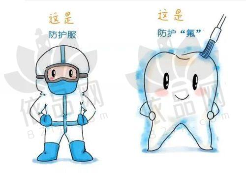 不同人群的选择建议