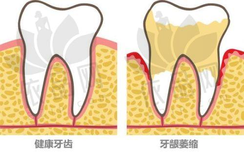 烟台壹颗芽口腔的医生团队实力