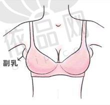 其他费用说明