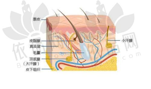 玻尿酸品牌收费价格表