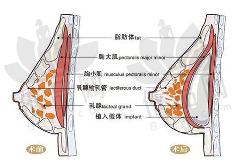 贴心服务体系，打造有温度的整形体验