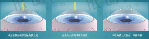专精的医疗团队