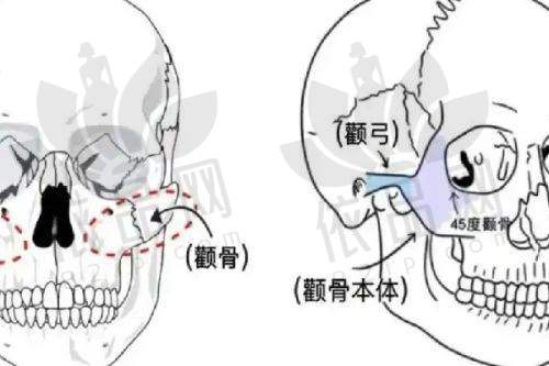 8. 郑州集美整形医疗美容