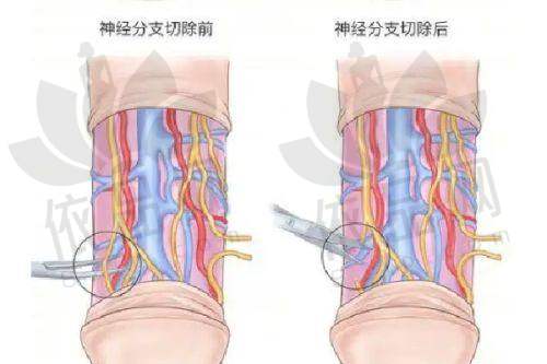 沈阳创美荟医疗美容门诊部正规吗