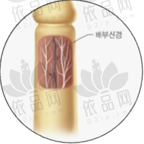 五、患者评价