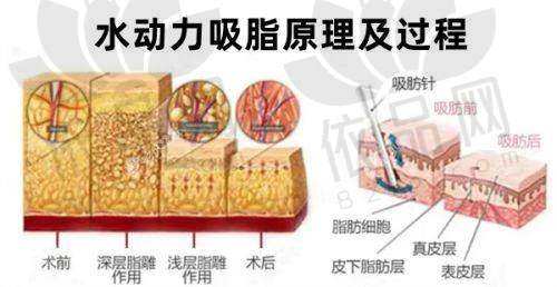 七、深圳八大处医疗美容医院医生团队