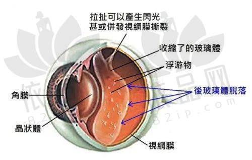 沈阳何氏眼科医院基本信息