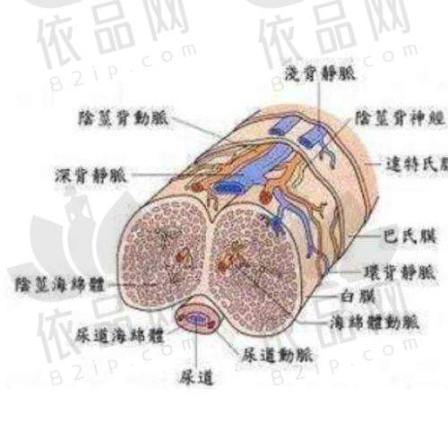 沈阳和平蓝天医疗美容门诊部特色项目