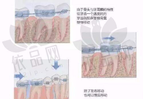 苏州维多利亚美容医院的设备设施水平