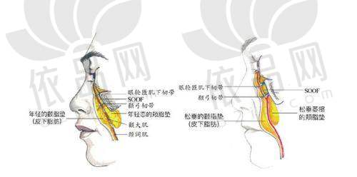 杭州艺星私密整形收费价格表