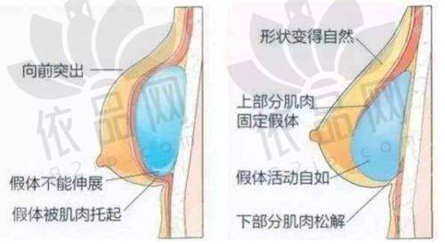 沈阳亿美医疗美容涂艳丽医生 —— 医生预约方式