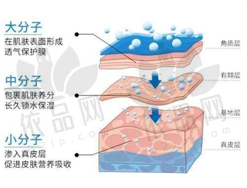 苏州维多利亚整形美容医院的收费价格