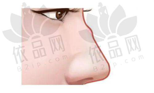 二、服务质量评估