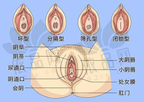 谭琳琳医生轮廓固定的特色技术