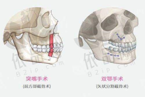 大连铂恩美学医疗美容门诊部基本信息