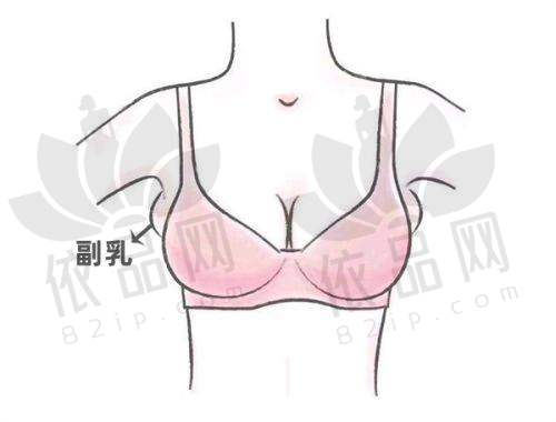 专精团队：技术与经验的理想结合