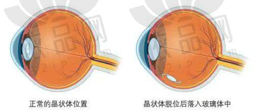 重庆军美强大的医生团队