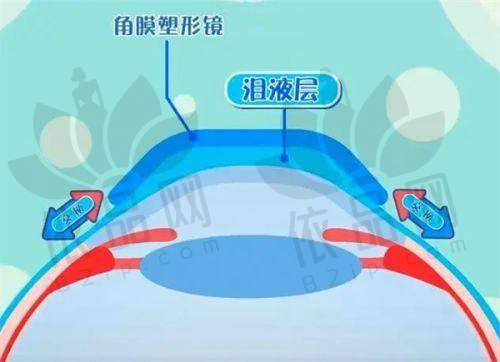 五、患者评价与口碑分析