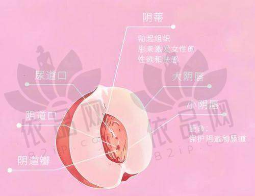 以上就是南京紧缩针的预约攻略，包含了五家医院的相关信息及多种预约途径，希望能帮助到有需要的朋友。