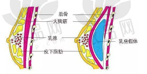 张克医生特色技术与优势