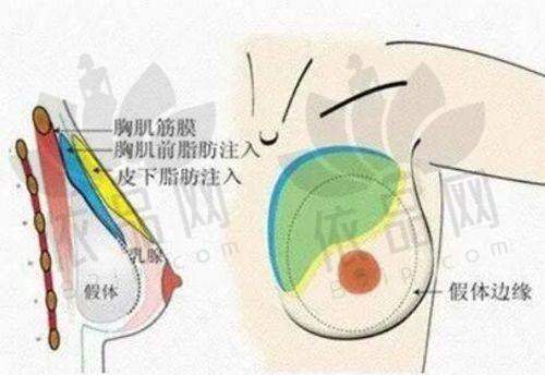 武汉亚韩整形外科医院预约方式