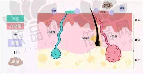 抚顺博爱医院医疗美容中 心收费价格表