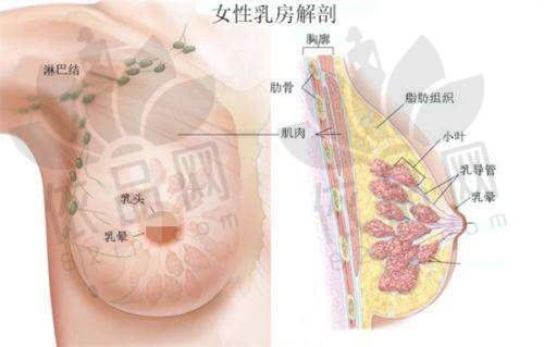 南京华美冯杰医生——特色技术优势