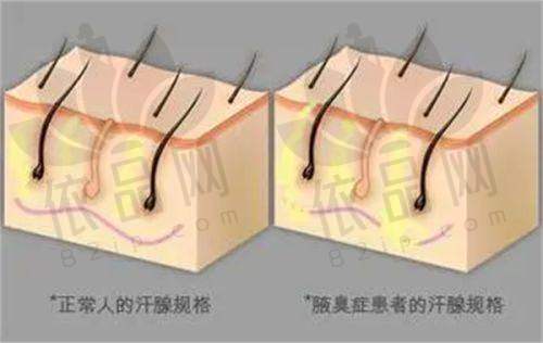 盘锦莱思美医疗美容门诊部正规吗