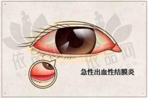西双版纳艾维眼科医院——医生团队
