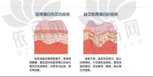 三、南阳市天后医疗美容
