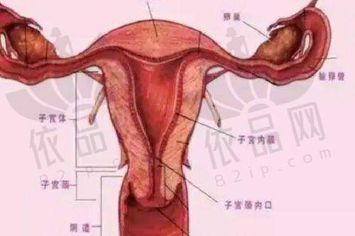 二、中山韩妃医疗美容门诊部